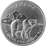 Canadian Wildlife Grizzly 1oz Silver - 2011 - B-Stock
