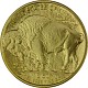 American Buffalo 1oz Gold - 2022