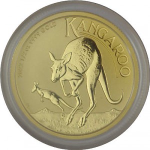 Australian Kangaroo 1/2oz Gold - 2022