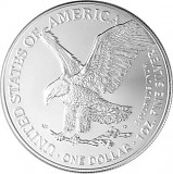 American Eagle 1oz Silver - 2023
