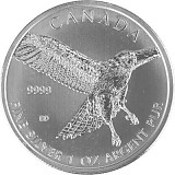 Birds of Prey Red-Tailed Hawk 1oz Silver - 2015 B-Stock