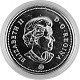 1 Canada Dollar 23,29g Silver (2007 - 2011) 1 Canada Dollar 23,29g Silver (2007 - 2011)
