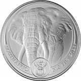 South Africa Big Five Elephant 1oz Platinum 2023 (Standard Taxation)