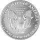 American Eagle 1oz Silver - 1991