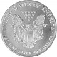 American Eagle 1oz Silver - 1990