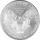 American Eagle 1oz Silver - 1995