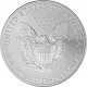 American Eagle 1oz Silver - 2013