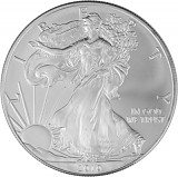 American Eagle 1oz Silver - 2010