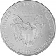 American Eagle 1oz Silver - 2010