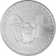 American Eagle 1oz Silver - 2009