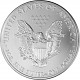 American Eagle 1oz Silver - 2008
