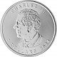 Maple Leaf 1oz Silver - 2024