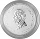 Lunar III Year of the Snake 2oz Silver - 2025 (standard taxation)
