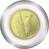 20 Euro Gold Native birds - black woodpecker 3,88g Gold - 2021