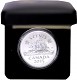 5 Cent Canada Beaver 31.39g Silver 2025