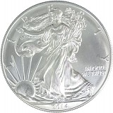 American Eagle 1oz Silver - 2014