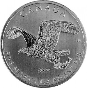 Birds of Prey Bald Eagle 1oz Silver - 2014