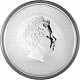 Lunar II Year of the Rabbit 2oz Silver - 2011