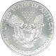 American Eagle 1oz Silver